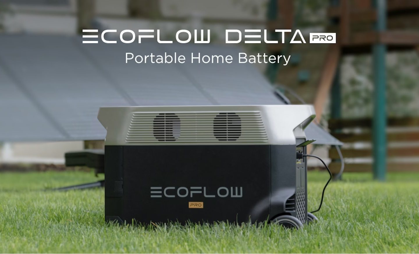 EcoFlow Delta Pro