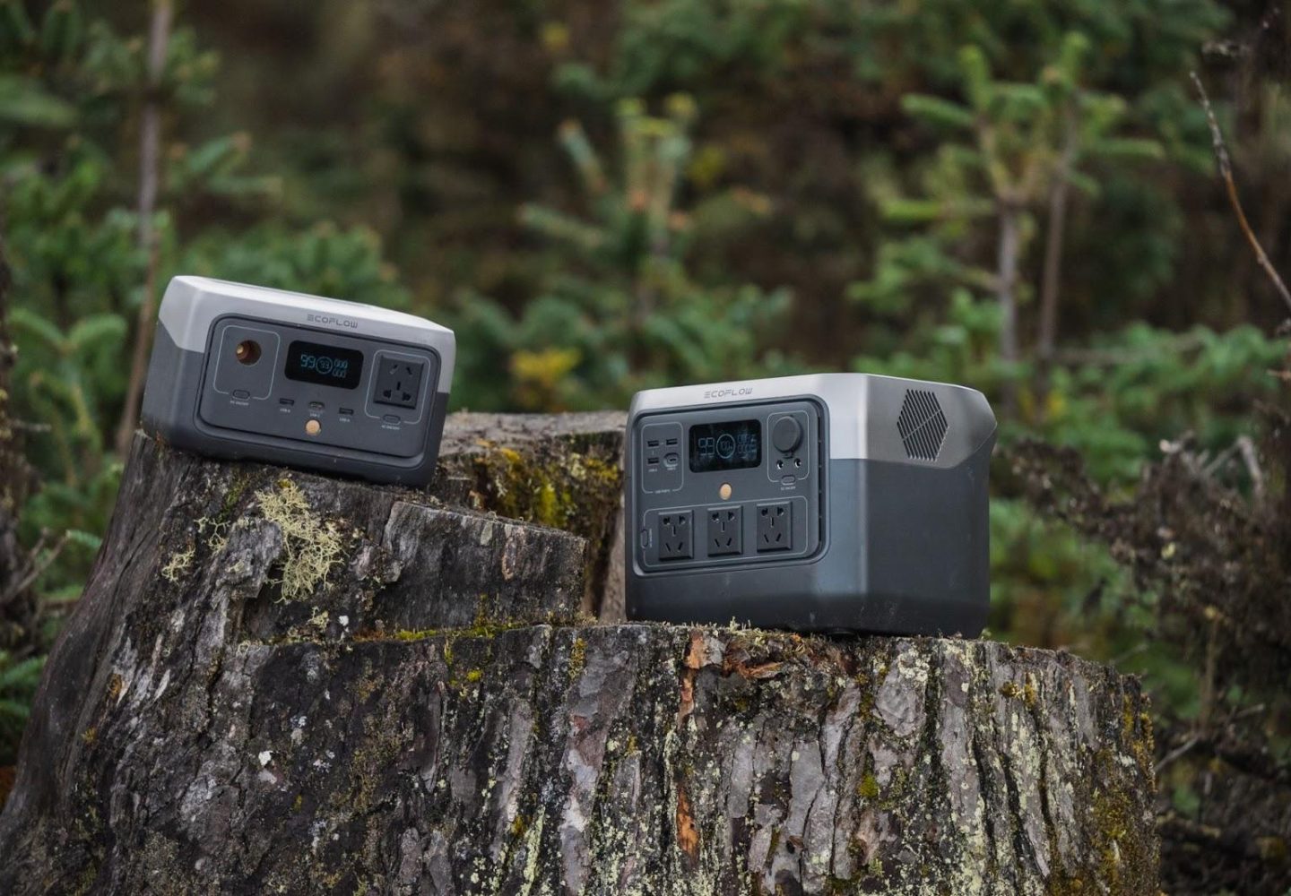 EcoFlow River Pro vs. River 2